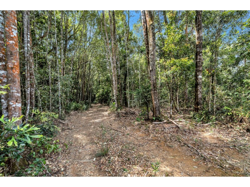 Lot 5 Lower Bobo Road, Ulong NSW 2450