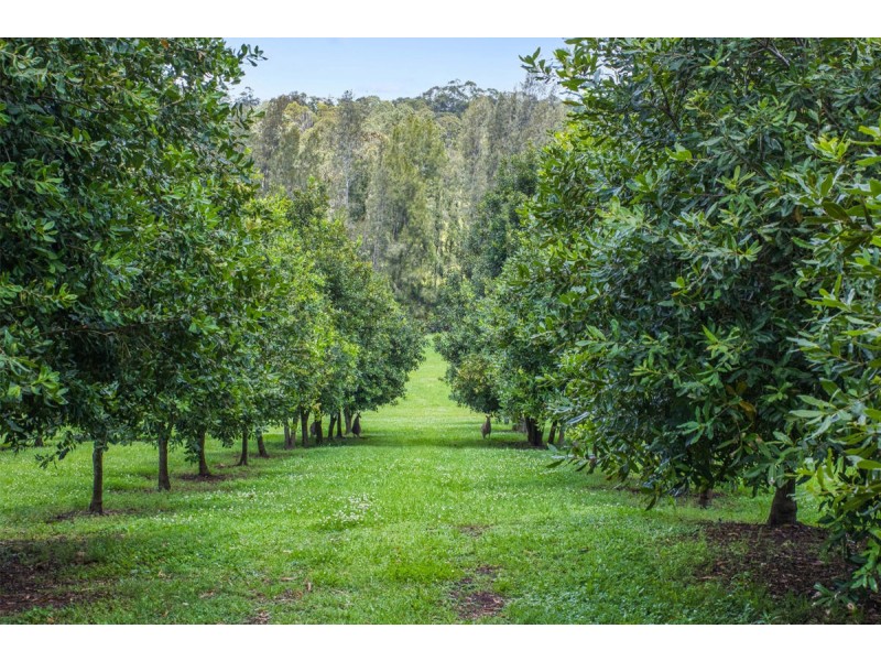 487 South Bank Road, Tamban NSW 2441