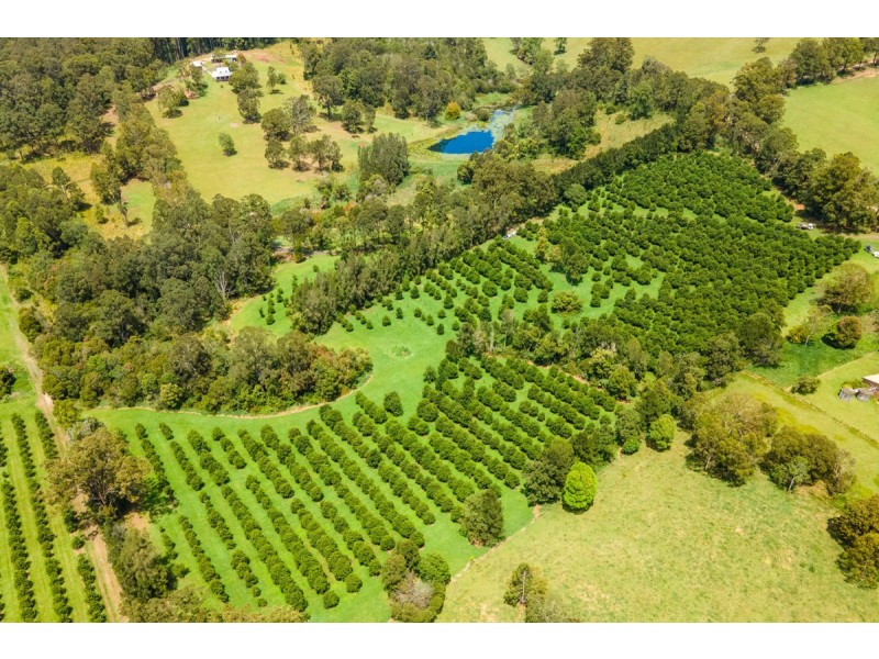 487 South Bank Road, Tamban NSW 2441