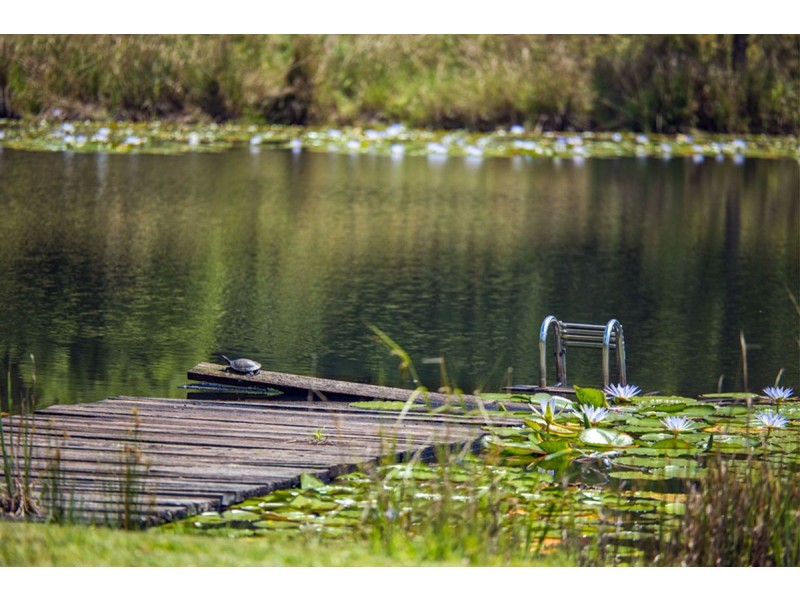 487 South Bank Road, Tamban NSW 2441