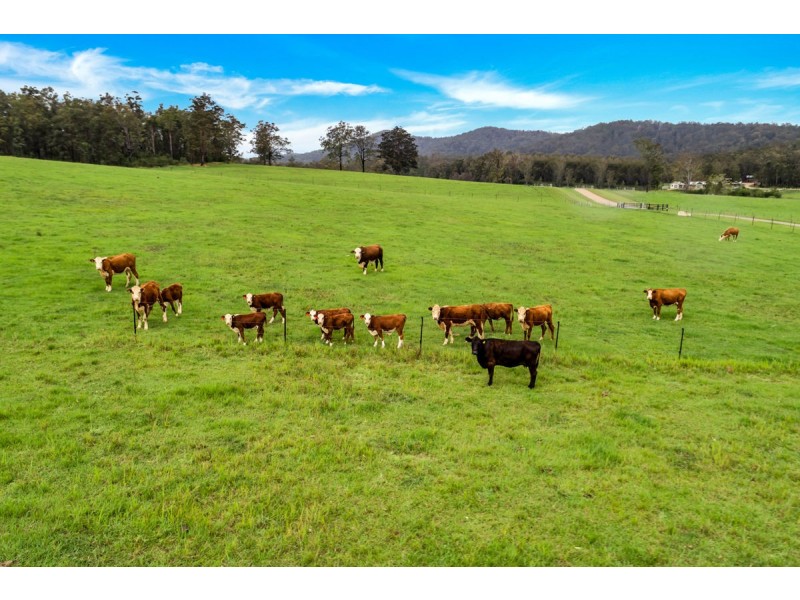 159 Lurcocks Road, Glenreagh NSW 2450