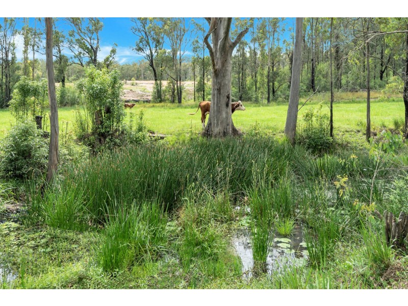 159 Lurcocks Road, Glenreagh NSW 2450