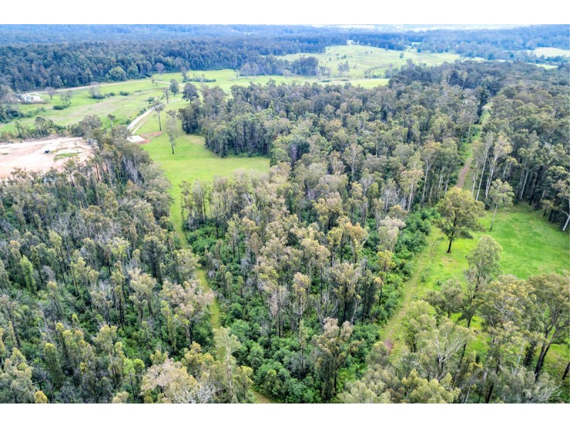 159 Lurcocks Road, Glenreagh NSW 2450