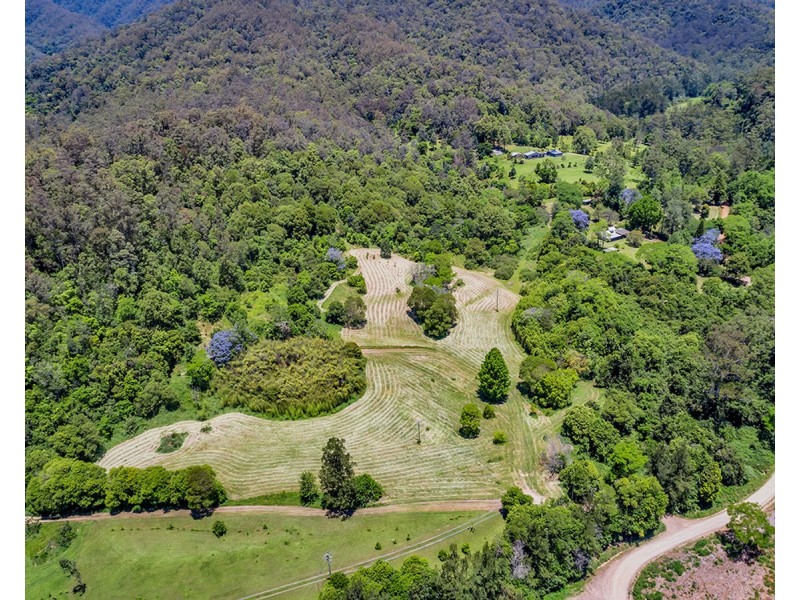 1971 Darkwood Road, Darkwood NSW 2454