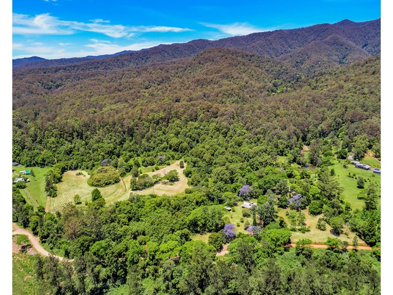 1971 Darkwood Road, Darkwood NSW 2454