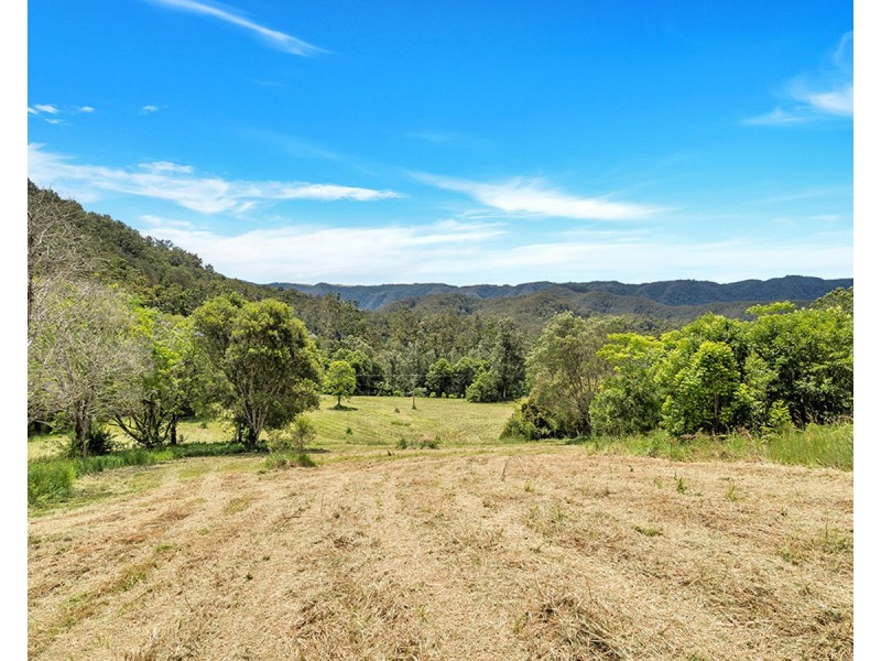 1971 Darkwood Road, Darkwood NSW 2454