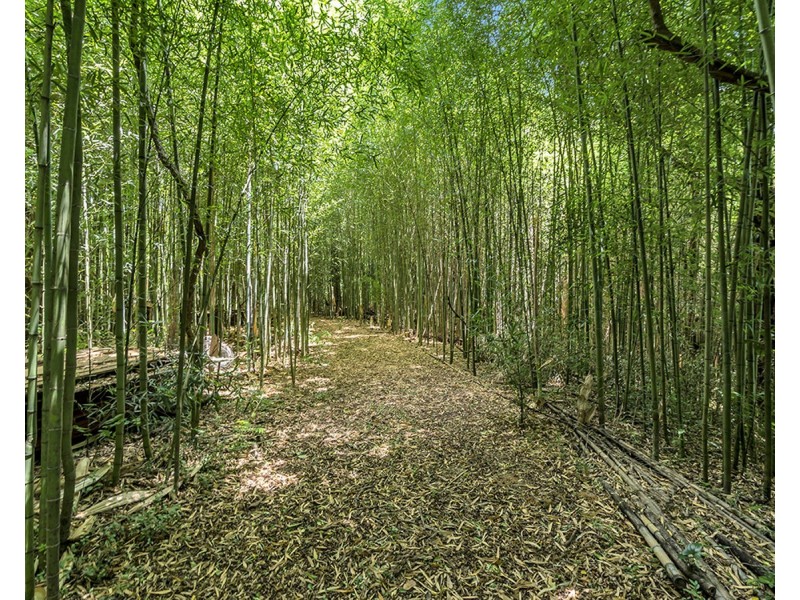 1971 Darkwood Road, Darkwood NSW 2454