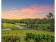 299 Elliots Road, Tamban NSW 2441