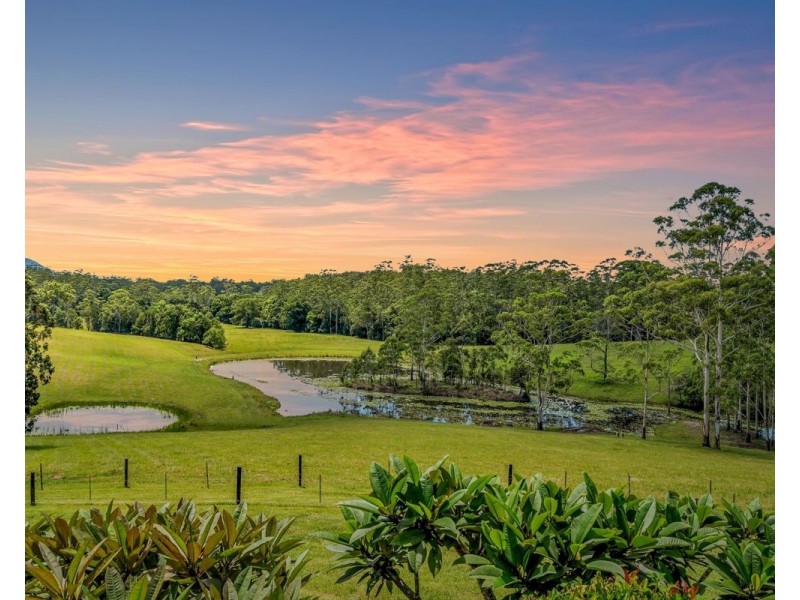 299 Elliots Road, Tamban NSW 2441