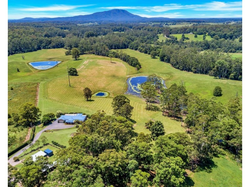 299 Elliots Road, Tamban NSW 2441