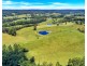 299 Elliots Road, Tamban NSW 2441