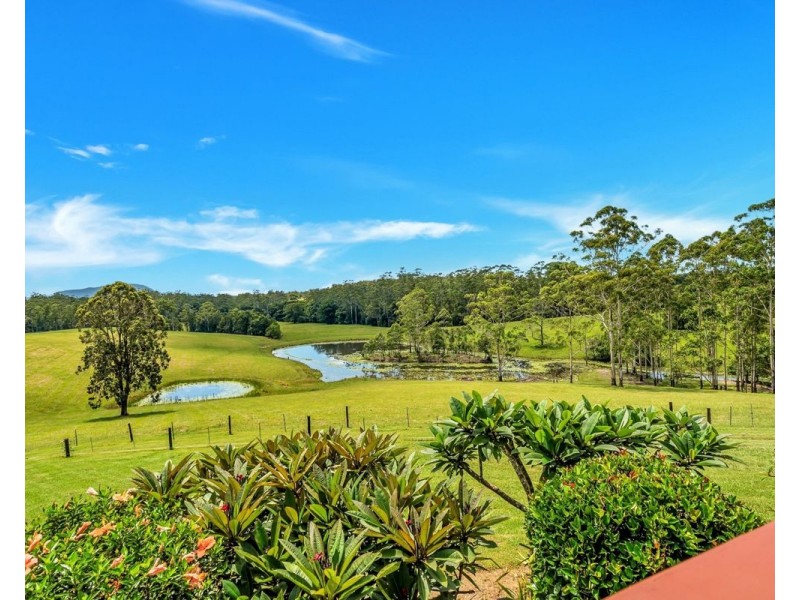 299 Elliots Road, Tamban NSW 2441
