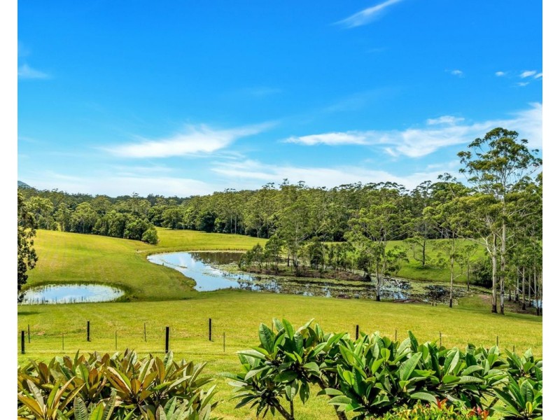 299 Elliots Road, Tamban NSW 2441