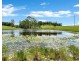 299 Elliots Road, Tamban NSW 2441