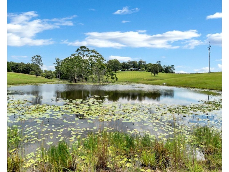 299 Elliots Road, Tamban NSW 2441