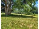299 Elliots Road, Tamban NSW 2441