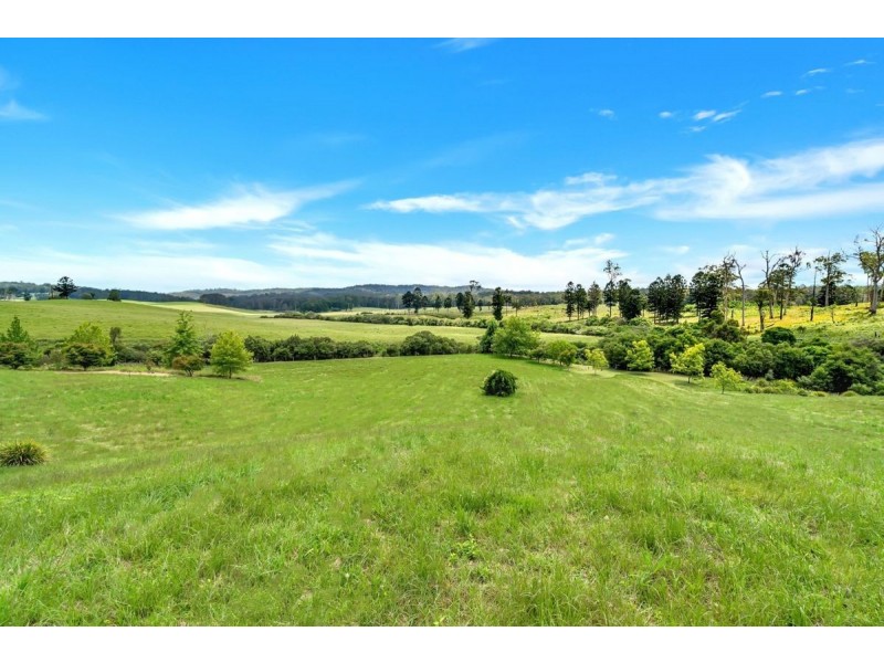 259 Camp Creek Road, Lowanna NSW 2450