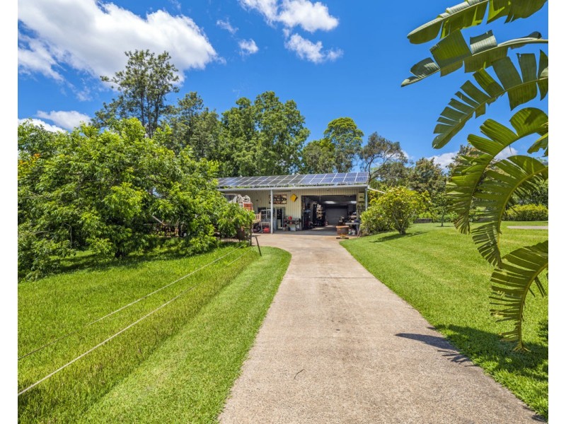 194 North Bank Road, Bellingen NSW 2454