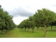 Blackbutt QLD 4306
