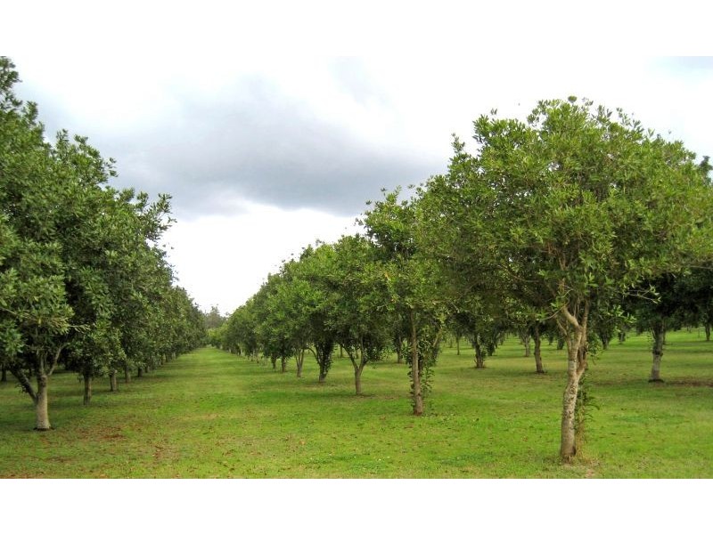 Blackbutt QLD 4306