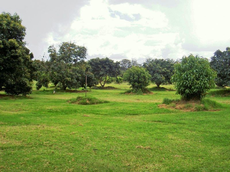 Blackbutt QLD 4306