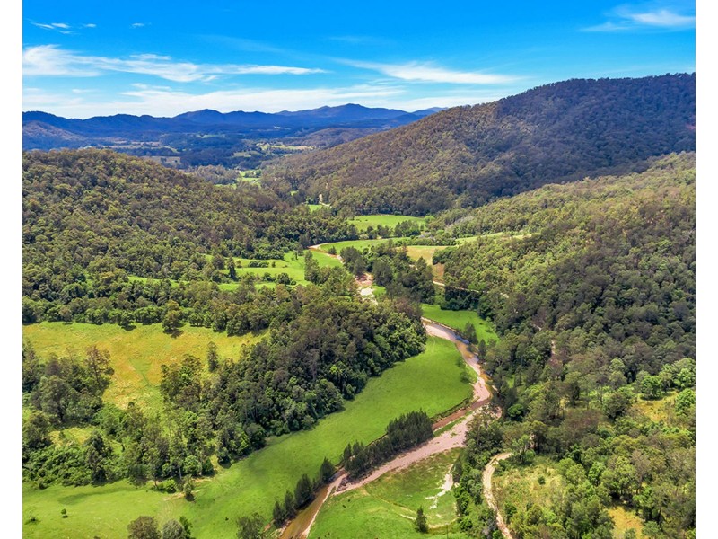 335 Upper Buckrabendinni Road, Buckra Bendinni NSW 2449