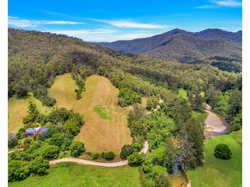 335 Upper Buckrabendinni Road, Buckra Bendinni NSW 2449