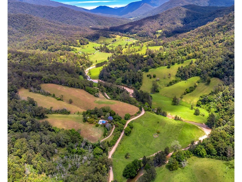 335 Upper Buckrabendinni Road, Buckra Bendinni NSW 2449