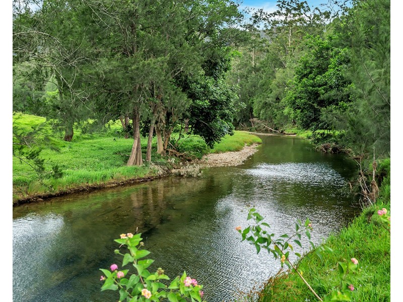 335 Upper Buckrabendinni Road, Buckra Bendinni NSW 2449