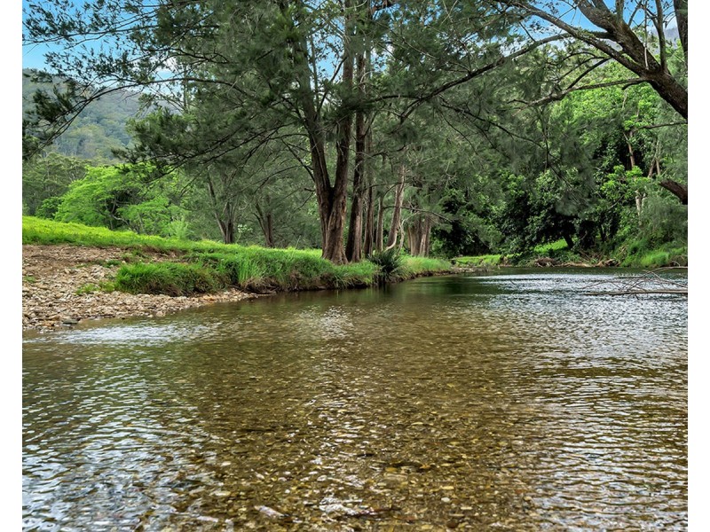 335 Upper Buckrabendinni Road, Buckra Bendinni NSW 2449