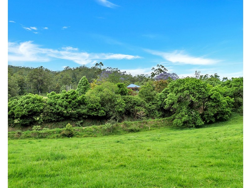 335 Upper Buckrabendinni Road, Buckra Bendinni NSW 2449
