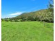 335 Upper Buckrabendinni Road, Buckra Bendinni NSW 2449