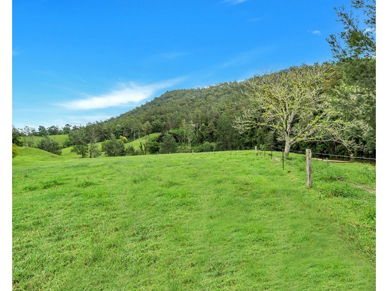 335 Upper Buckrabendinni Road, Buckra Bendinni NSW 2449
