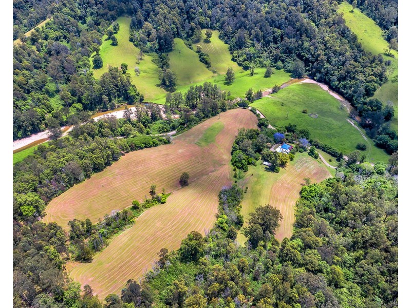 335 Upper Buckrabendinni Road, Buckra Bendinni NSW 2449