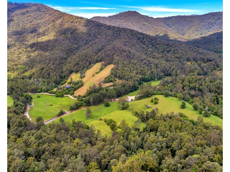 335 Upper Buckrabendinni Road, Buckra Bendinni NSW 2449