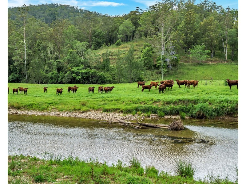 335 Upper Buckrabendinni Road, Buckra Bendinni NSW 2449