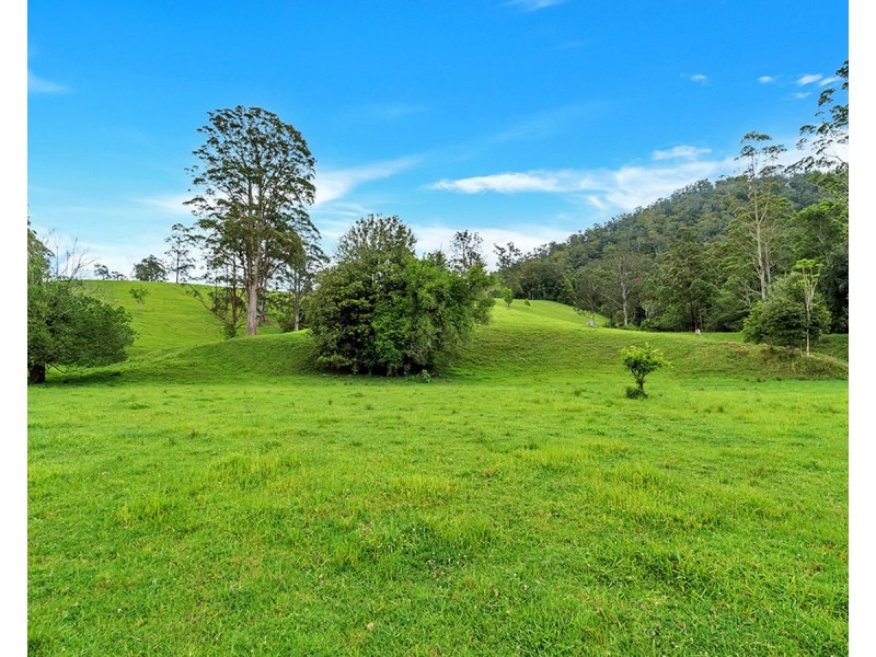 335 Upper Buckrabendinni Road, Buckra Bendinni NSW 2449