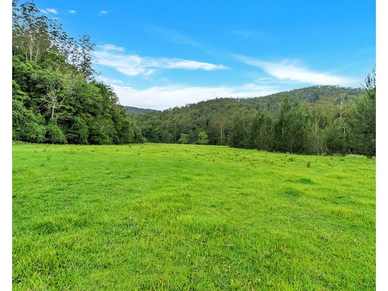 335 Upper Buckrabendinni Road, Buckra Bendinni NSW 2449