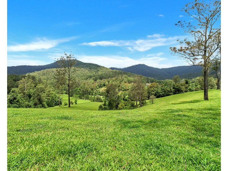 335 Upper Buckrabendinni Road, Buckra Bendinni NSW 2449