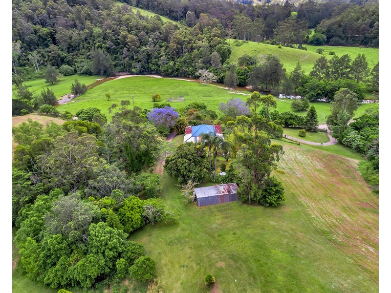 335 Upper Buckrabendinni Road, Buckra Bendinni NSW 2449