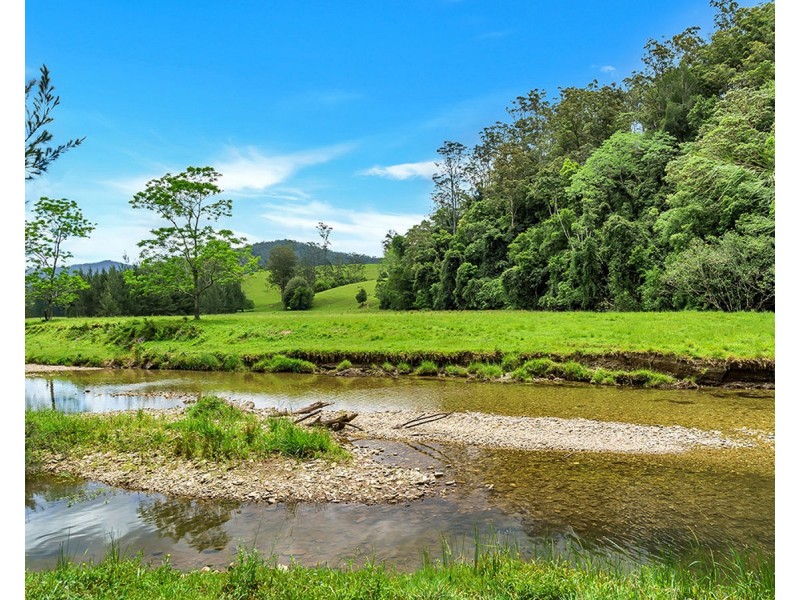 335 Upper Buckrabendinni Road, Buckra Bendinni NSW 2449