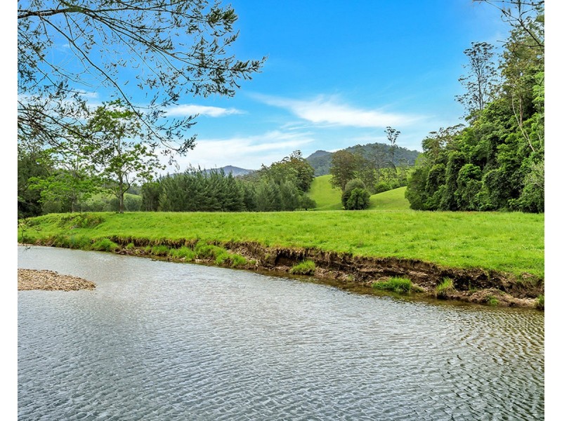 335 Upper Buckrabendinni Road, Buckra Bendinni NSW 2449