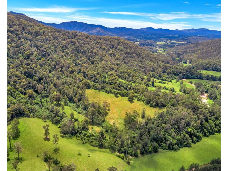 335 Upper Buckrabendinni Road, Buckra Bendinni NSW 2449