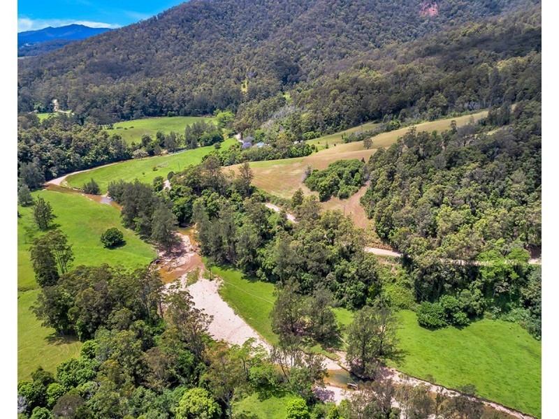 335 Upper Buckrabendinni Road, Buckra Bendinni NSW 2449