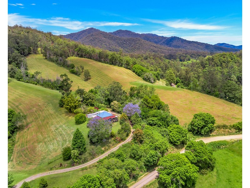 335 Upper Buckrabendinni Road, Buckra Bendinni NSW 2449