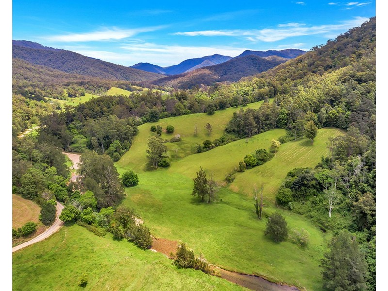 335 Upper Buckrabendinni Road, Buckra Bendinni NSW 2449