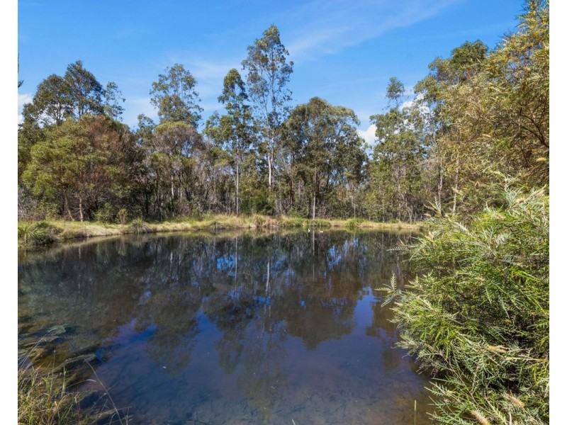 66 Gumtree Road, Lanitza NSW 2460