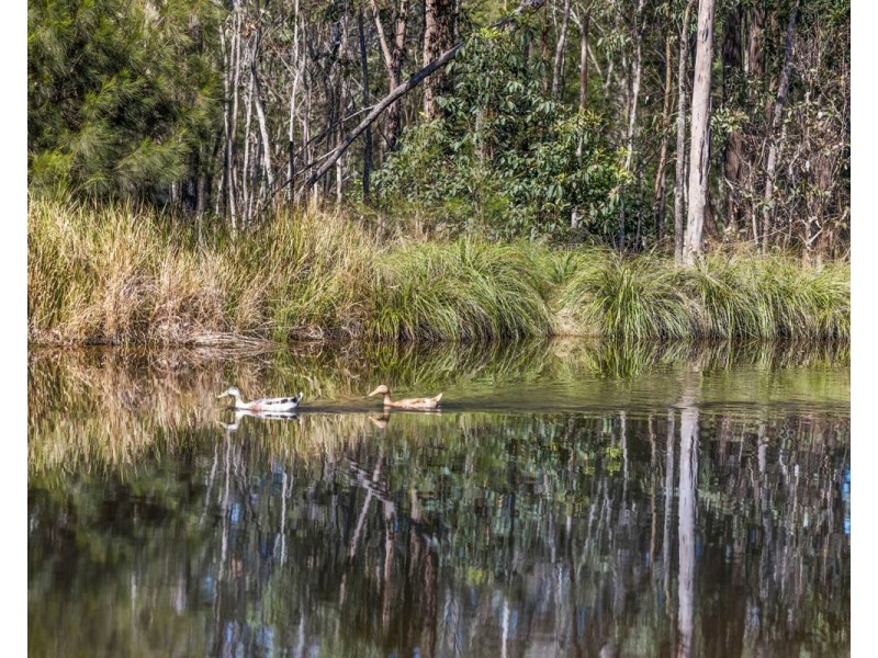 66 Gumtree Road, Lanitza NSW 2460