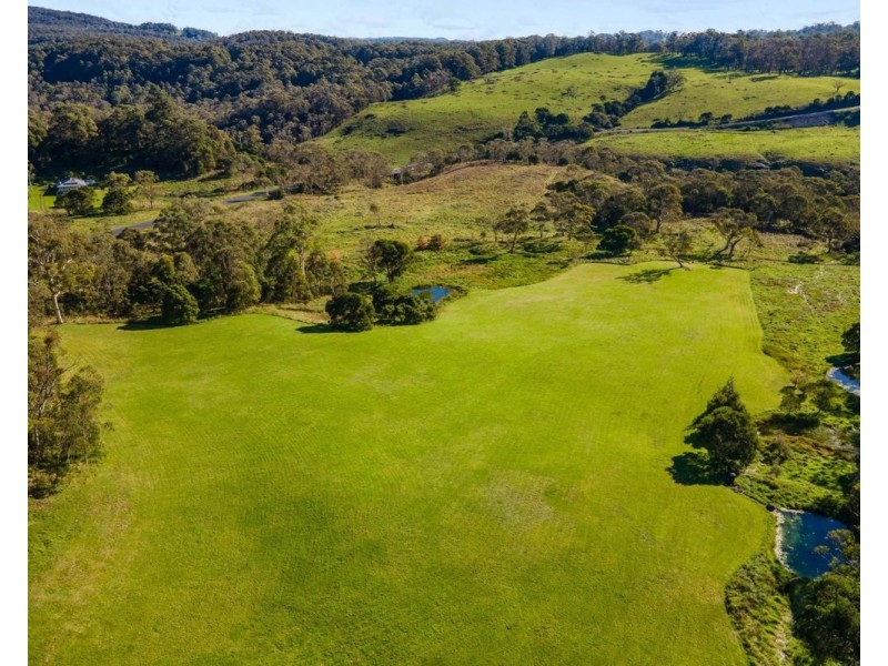 6410 Waterfall Way, Deer Vale, Dorrigo NSW 2453