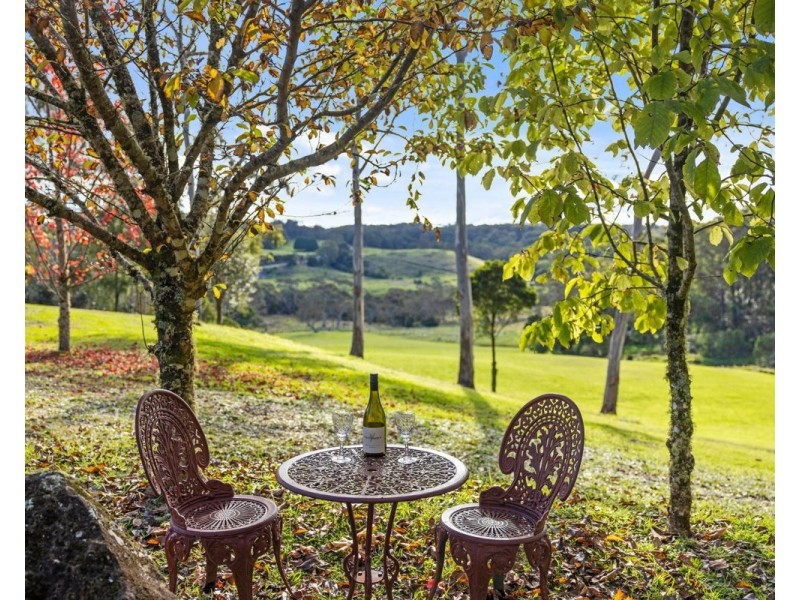 6410 Waterfall Way, Deer Vale, Dorrigo NSW 2453